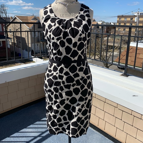 LOFT Dresses & Skirts - Ann Taylor Loft Midi Black & White  Dress Size 6